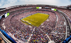 这表白它们不只具有精准数据来描像