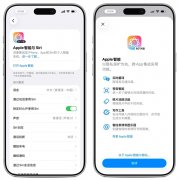 质是苹果全球AI结构取国内合规要求的跟尾误差